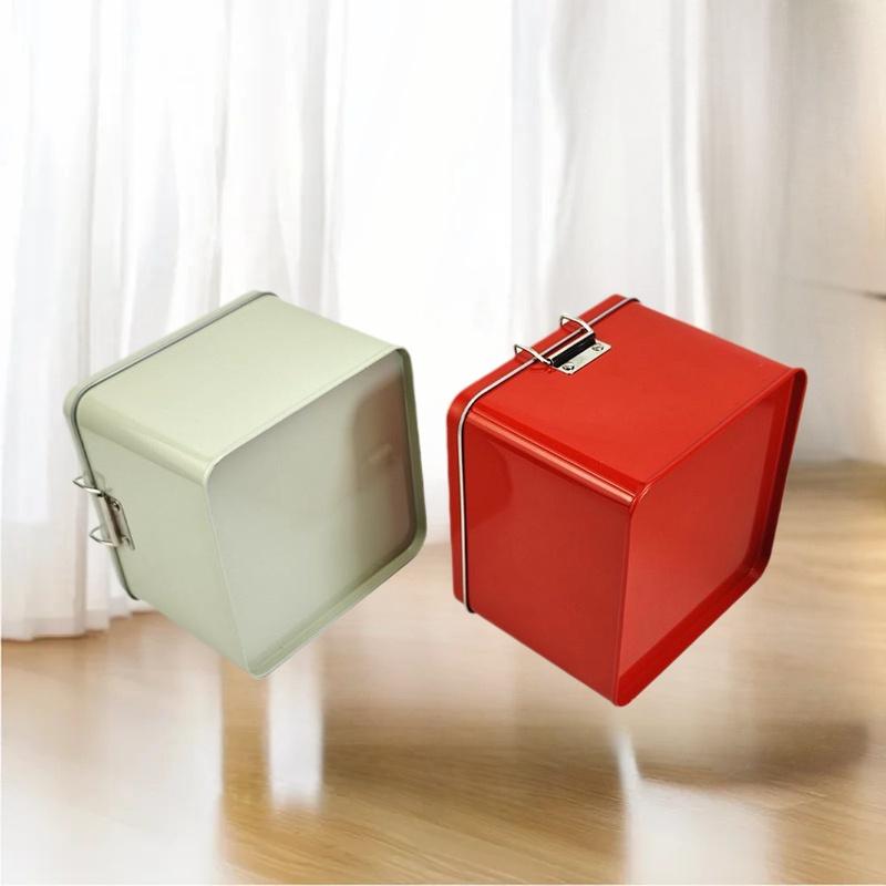 Platz Weißblech Cookie Dosen B – Tin Container Lid Bewertung und Preis